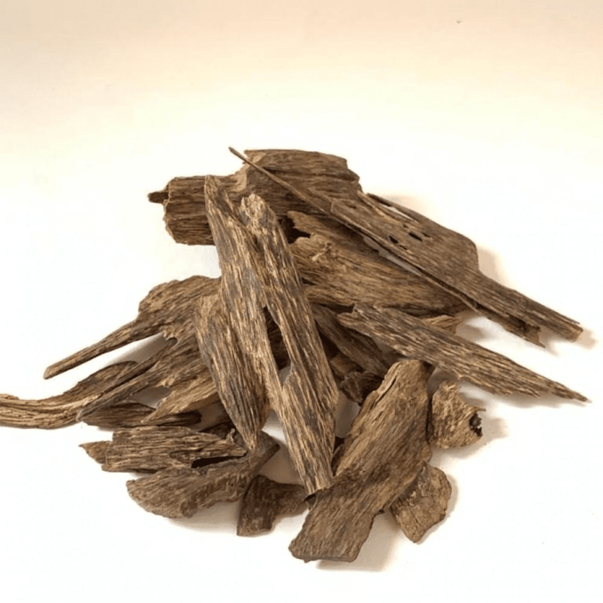 OUD SUMATRA 4