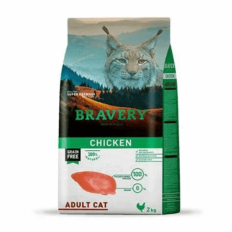 Bravery Poulet Chat