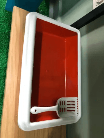 Cat Toilet With Hygienic Scoop