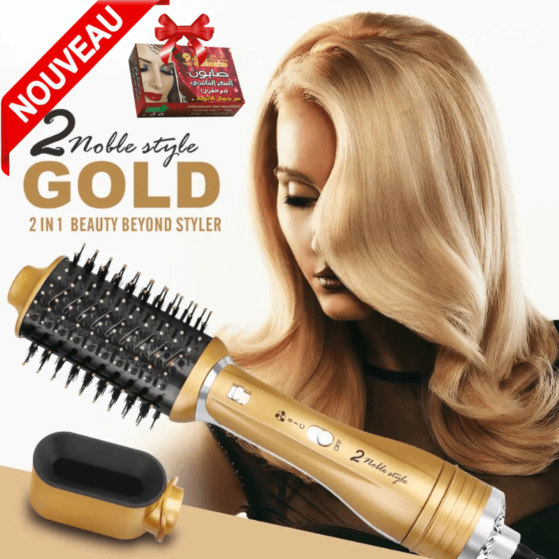 Brosse Sèche Cheveux et Volumateur Professionnel à Air Chaud Lisseur 2 in1 Outils de Coiffure en Céramique – EN-751