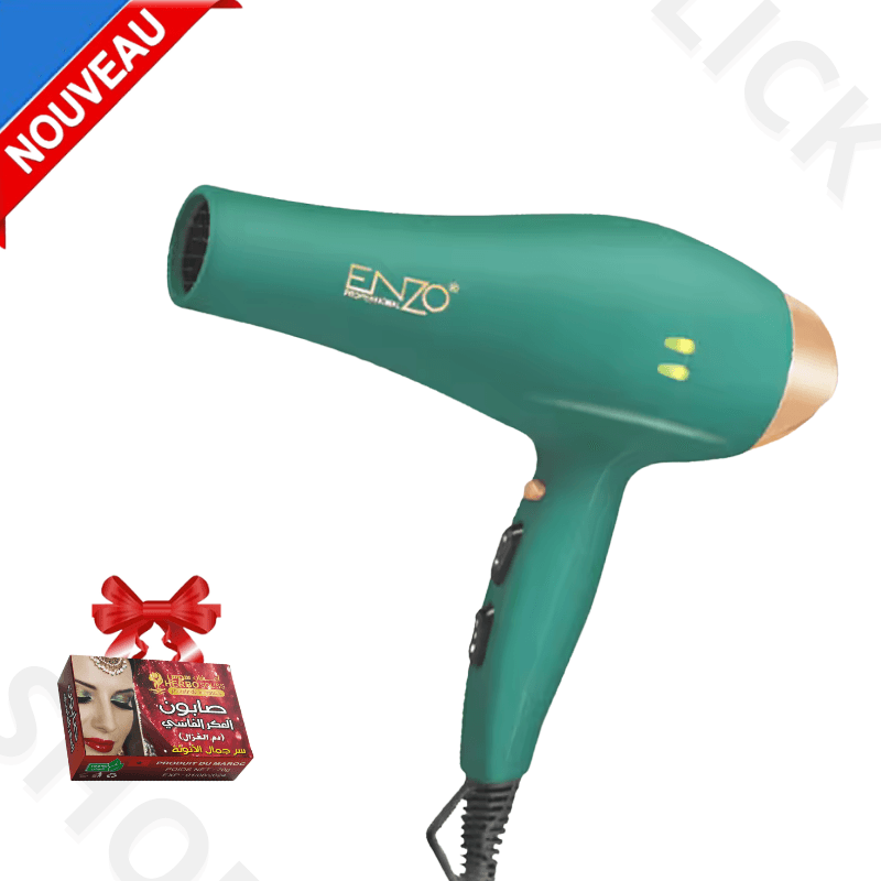 sèche-cheveux professionnel moteur à courant alternatif ménage salon de coiffure EN-8887