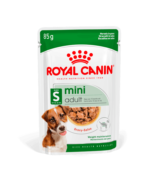 Royal Canin Mini Adult - Morsels in Gravy - Nourriture humide pour chiens (85 g)