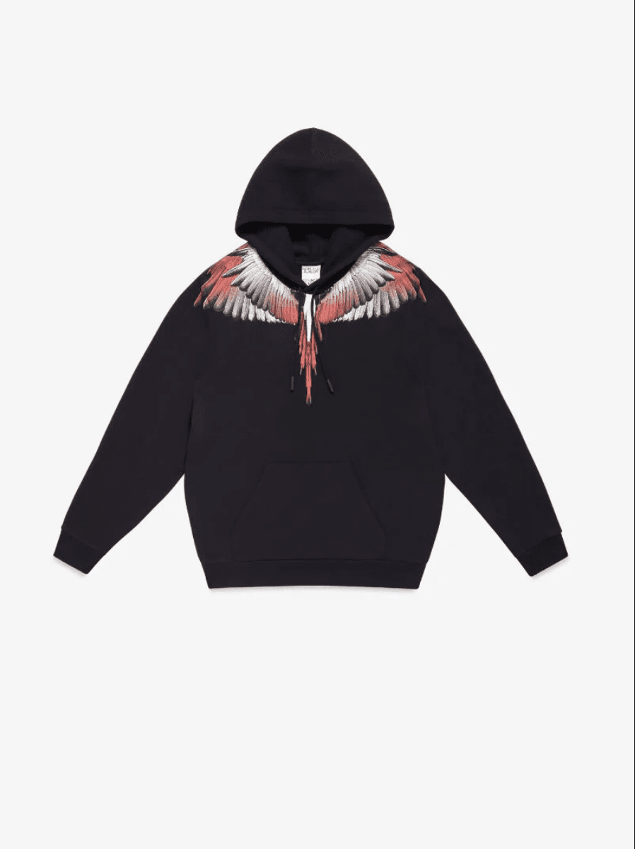 ICON WINGS REGULAR HOODIE