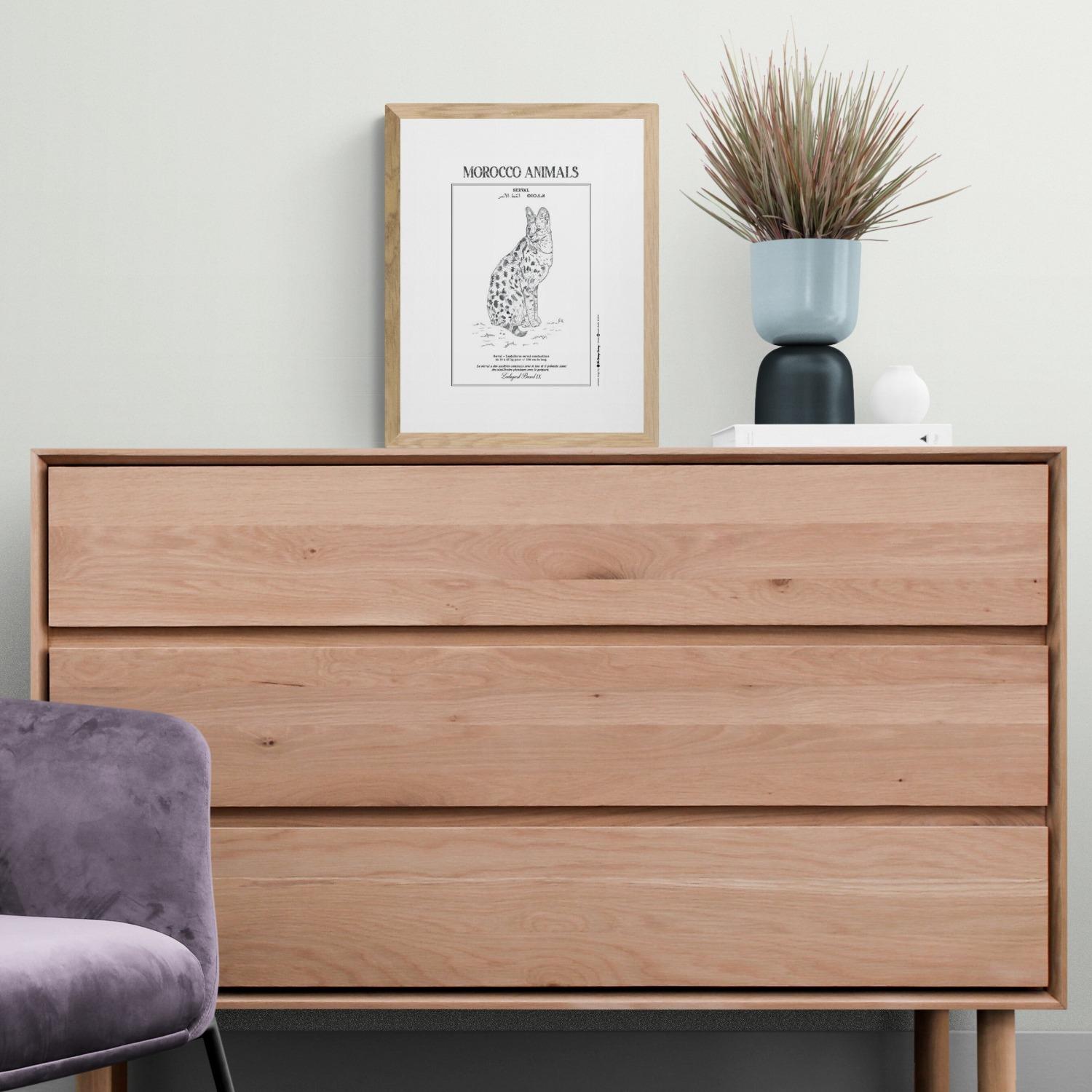 Affiche de la planche zoologique SERVAL