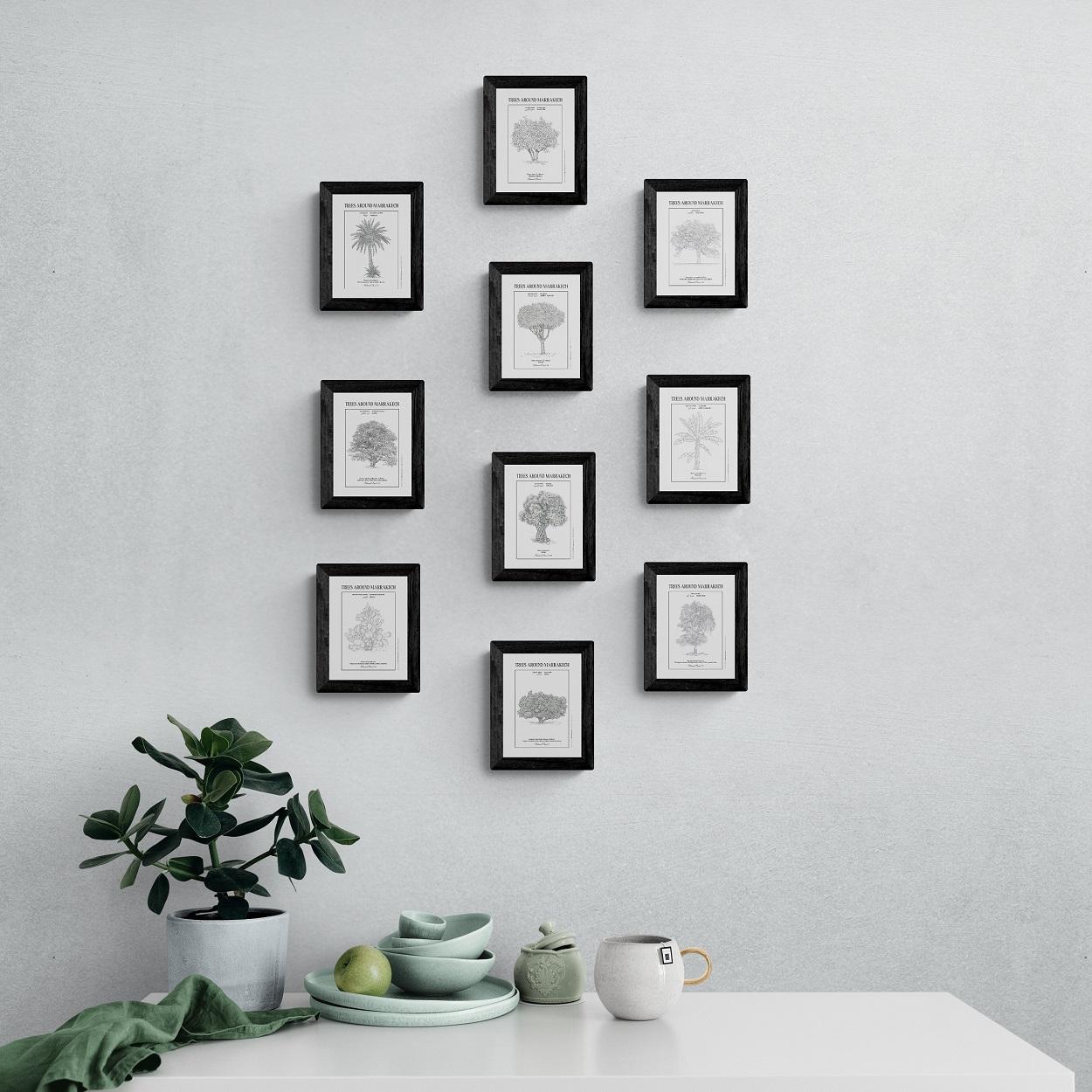 Lot de 10 cartes postales des planches botaniques