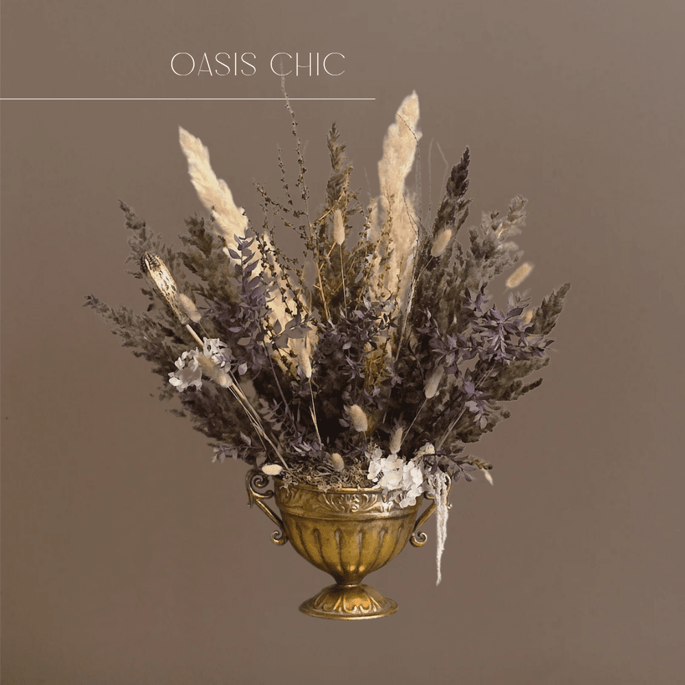 Oasis Chic 