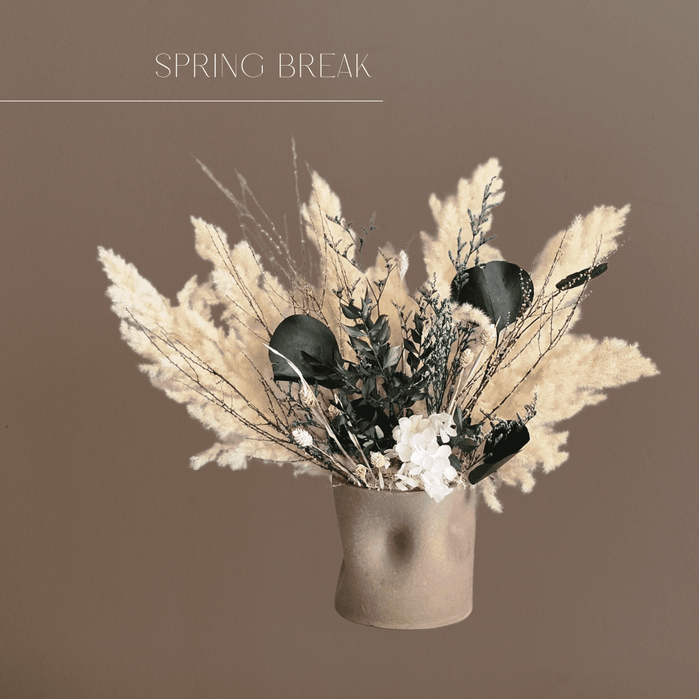 Spring Break