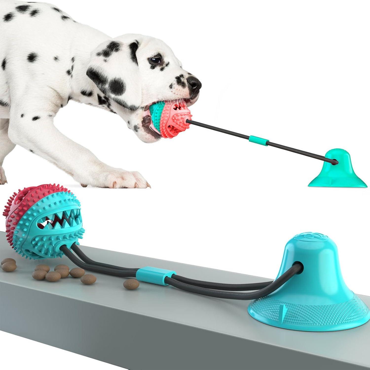 Jouet pour chien – Ventouse avec balle distributrice et corde