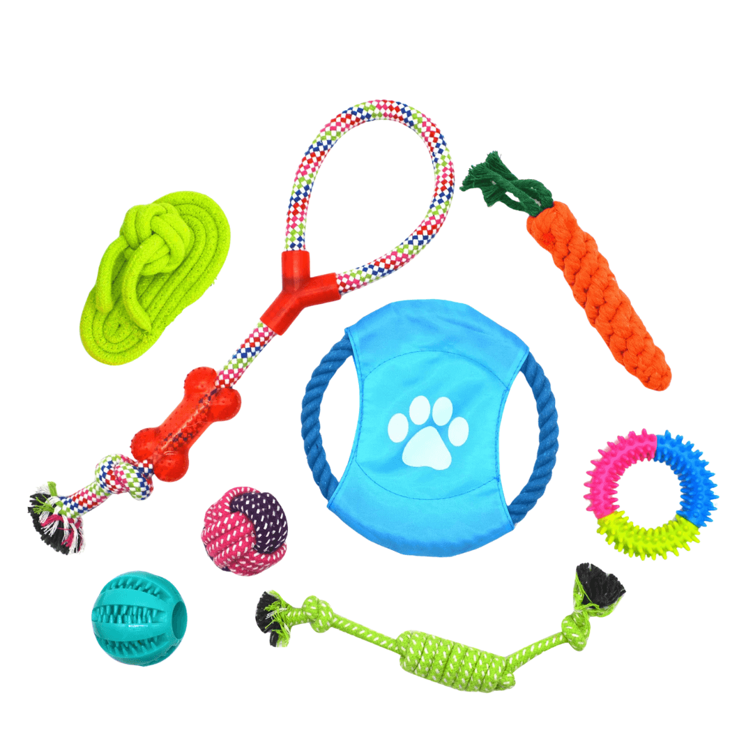 Lot de Jouets pour Chiens – Pack de 8 Jouets à Mâcher, Tirer et Jouer
