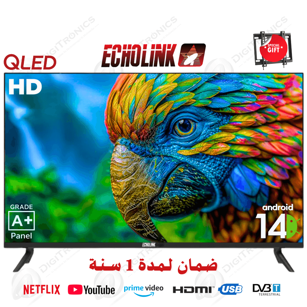 32 Qled Hd Ready Smart Android TV, HDMI, DVB S2/T2 + Support gratuit