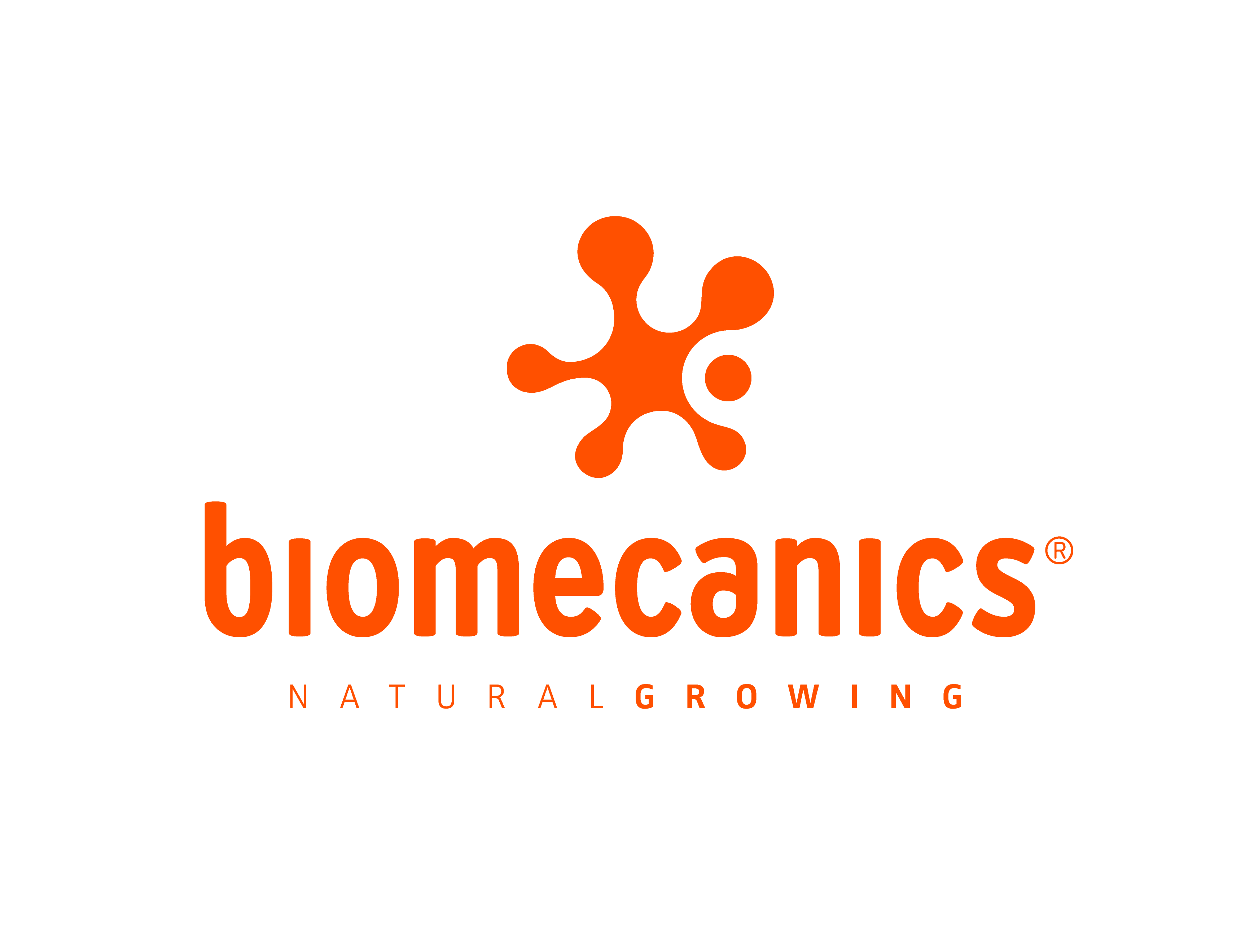Biomecanics Maroc