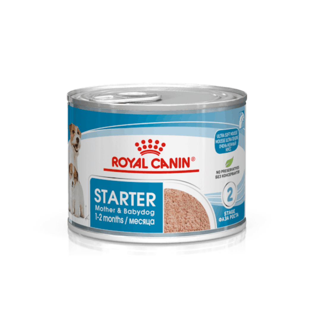 Royal Canin Starter Mousse Ultra Douce pour Chiens Mère et Bébé (195g)