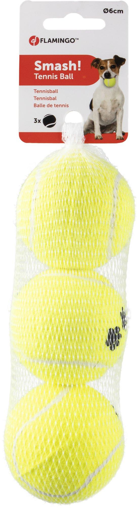 Jouet balle Pour Chien 3PCS