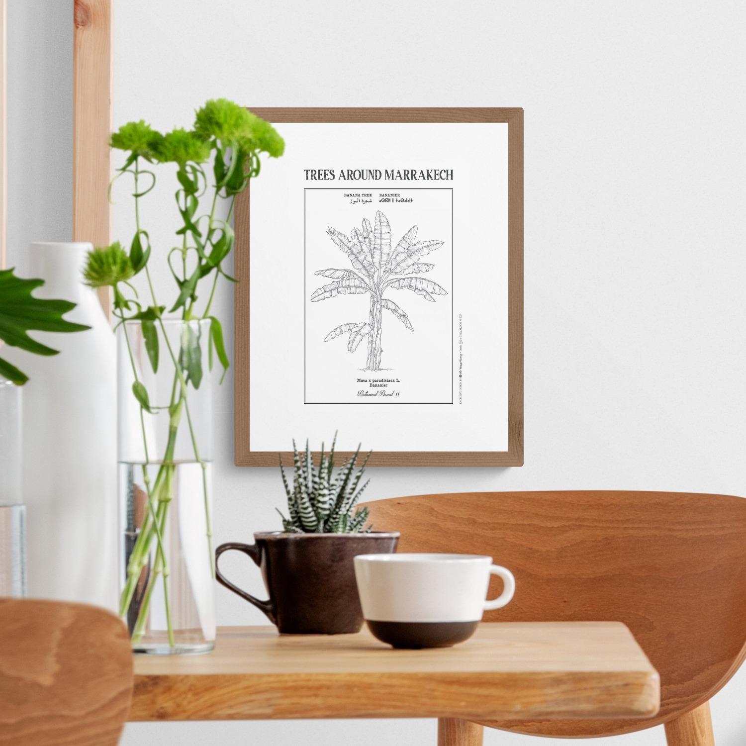 Affiche planche botanique BANANIER