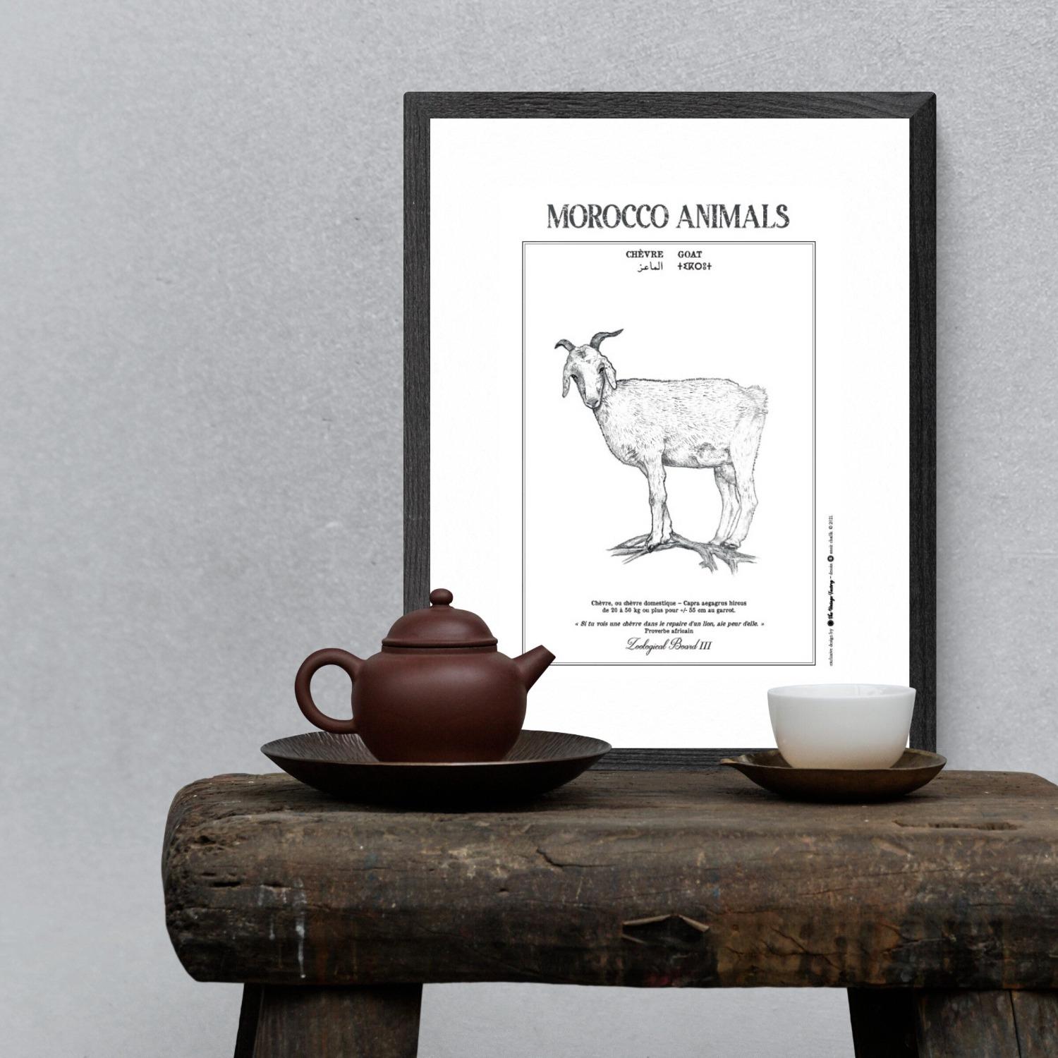 Affiche de la planche zoologique CHEVRE